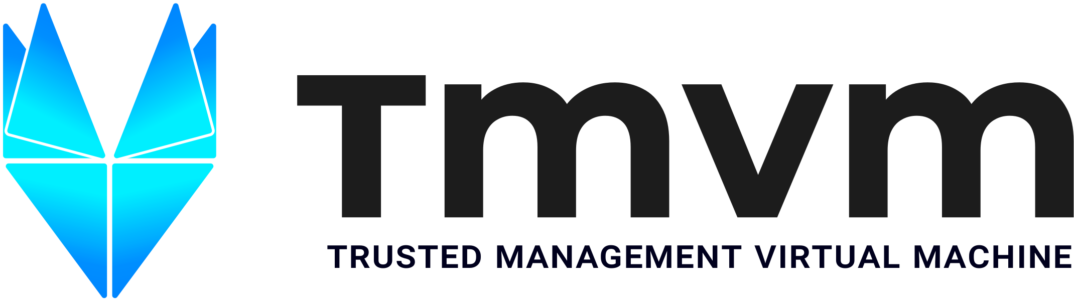 TMVM — Trusted Management Virtual Machine